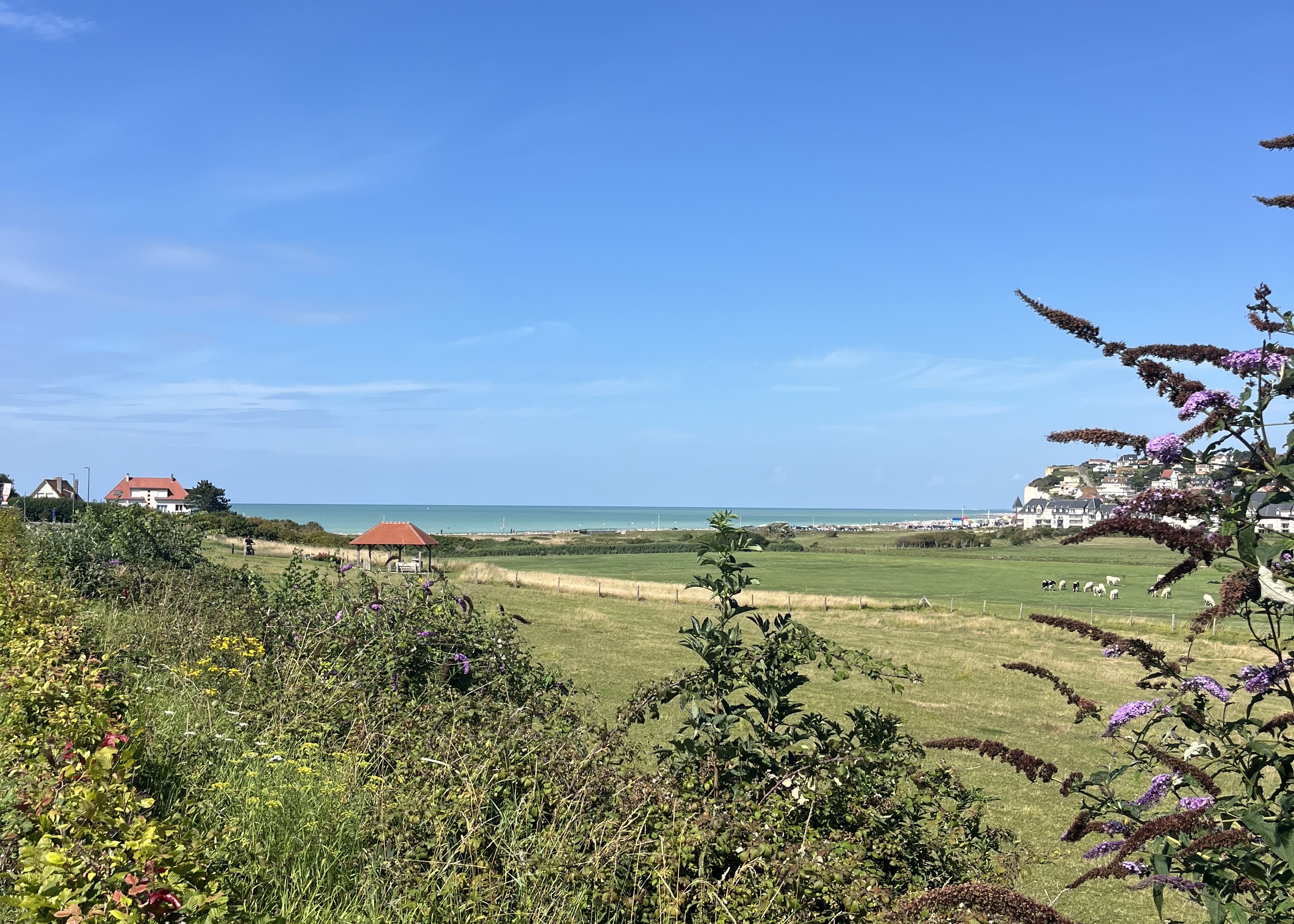 Le camping Le Mont Joli Bois&nbsp;