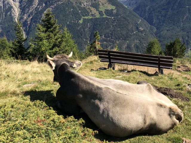 Wandelen in Längefeld - Sölden