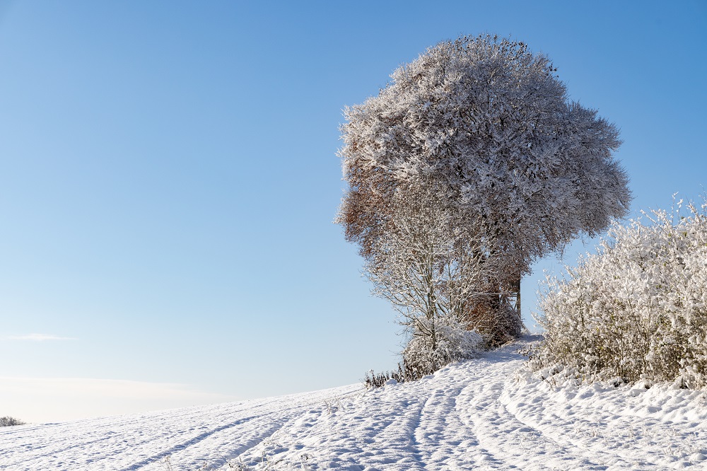 Tips voor winterkamperen