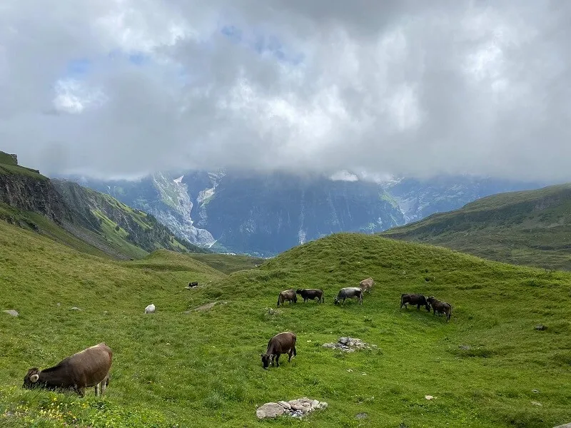 Camperreis door Italië