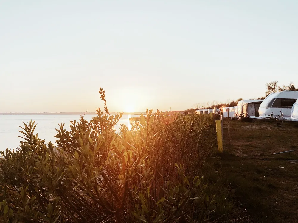 De beste 5 sterren campings van Nederland