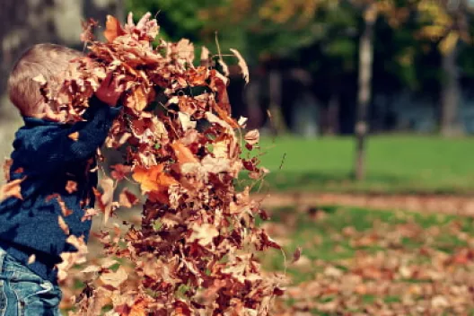 Camping in de herfst