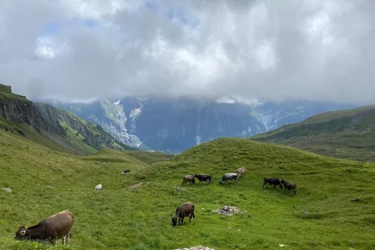 Camperreis door Italië