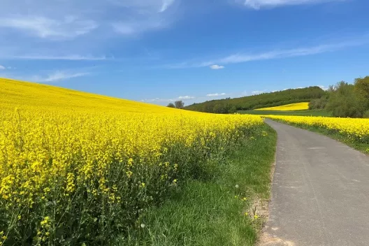 Uitzicht in Wertheim