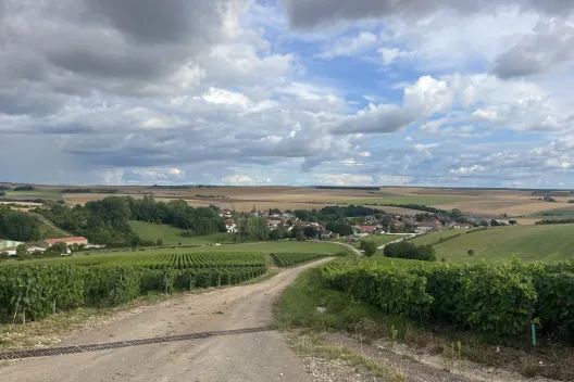 Uitzicht over de wijngaarden Champagnestreek